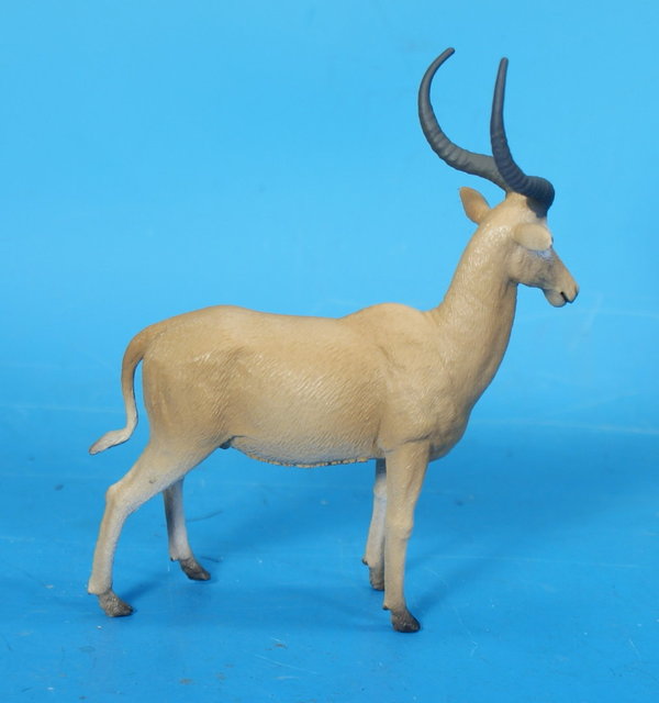 COLLECTA  Hirola Antilope P 004