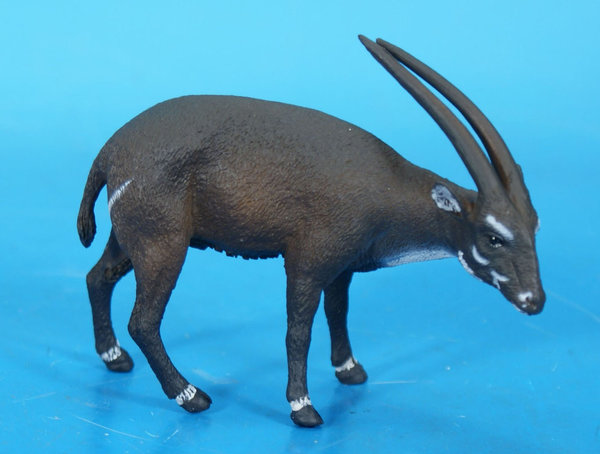 COLLECTA Saola Antilope   P 023