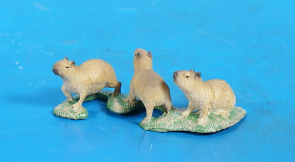 COLLECTA Junge Capybaras P 041